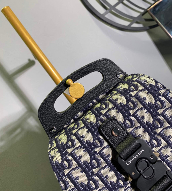 D*or oblique backpack