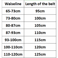 G*u*i belt with gold hardware or silver hardware