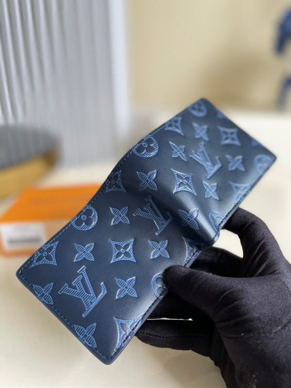 l**is V*t*n multiple wallet