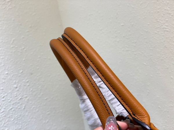 medium D*or book tote