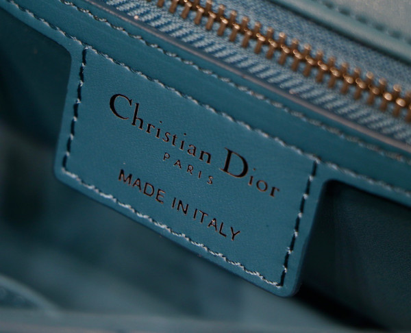 D*or medium D*or caro bag