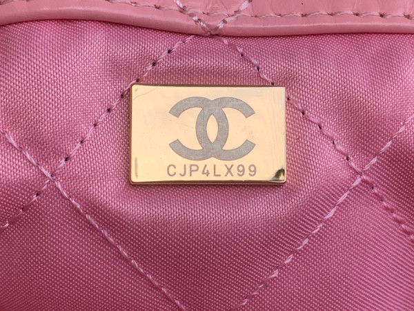 CL LARGE BACKPACK 22