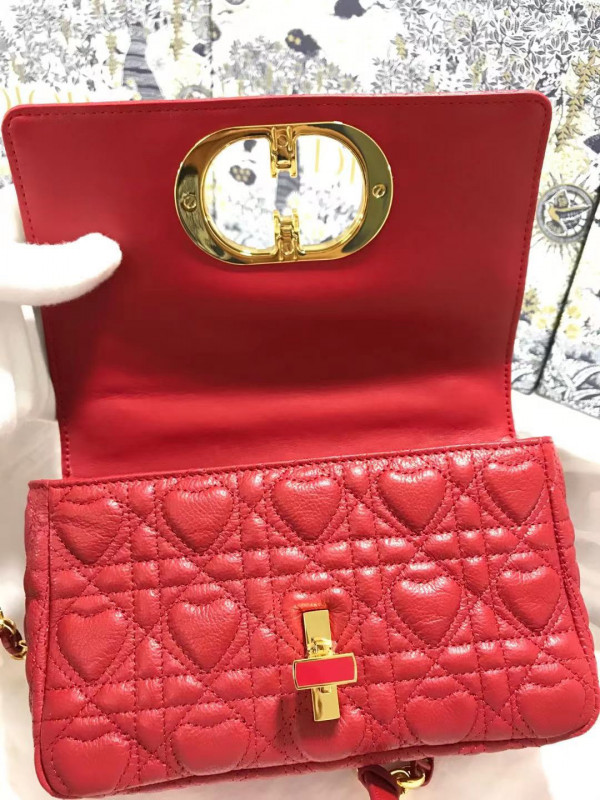 D*or small D*oramour caro bag