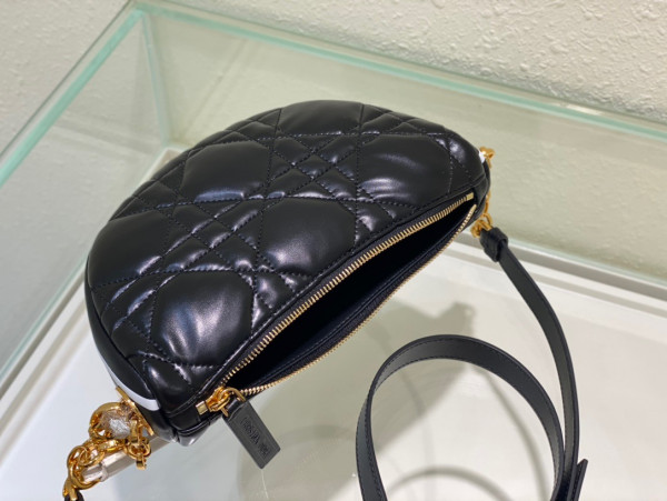 D*or small vibe hobo bag