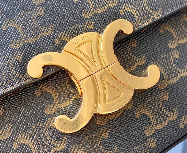 Ce**e box triomphe in triomphe canvas and calfskin