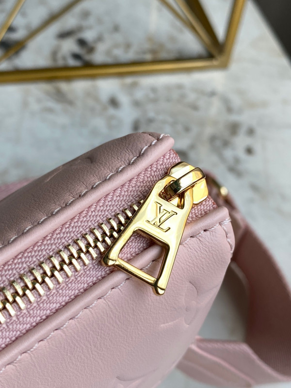 l**is V*t*n limited edition -coussin pm