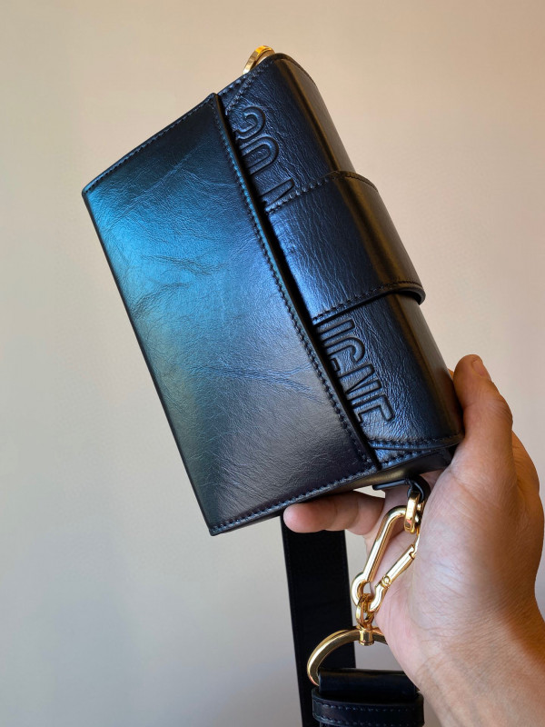 D*or 30 montaigne box bag