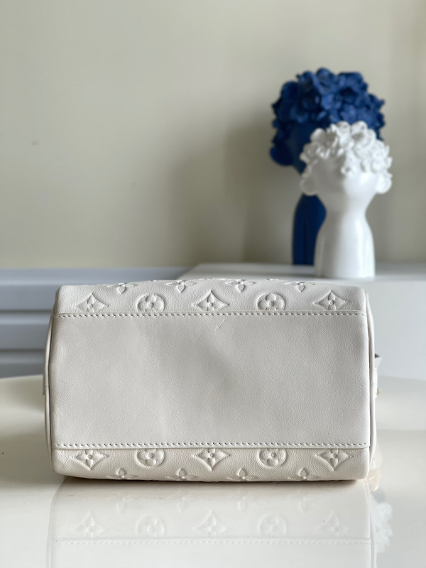 l**is V*t*n limited edition -speedy bandouliÈre 22