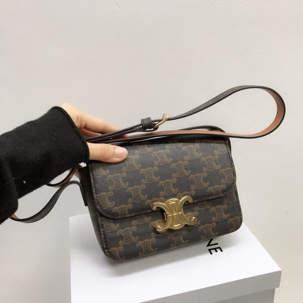 Ce**e nano triomphe bag in triomphe canvas