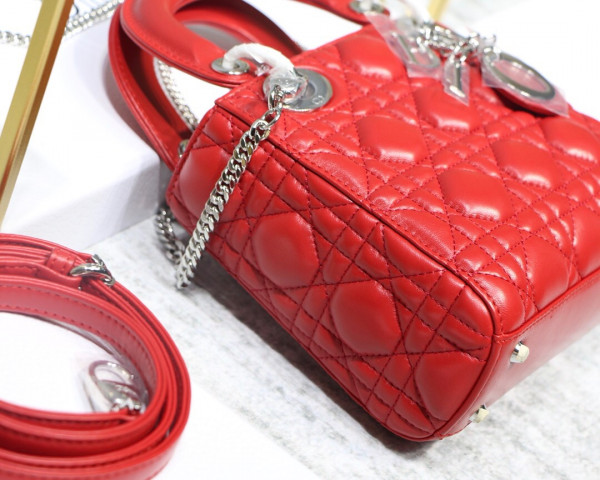 lady D*or mini with lambskin