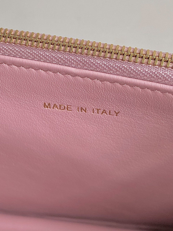 D*or miss caro mini bag