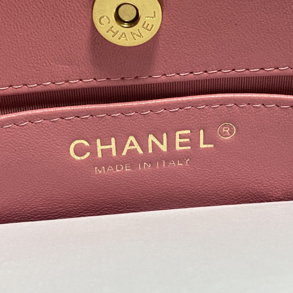 CL SMALL HOBO HANDBAG