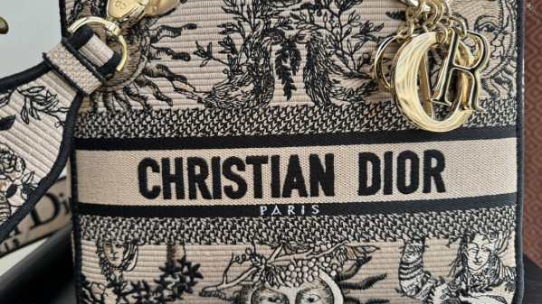 D*or medium lady d-lite bag-24-20-11cm